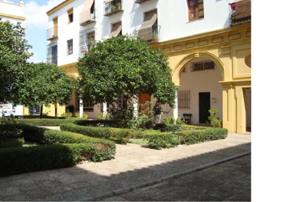 Centrico Y Amplio Apartamento 100% Equipado Херес-де-ла-Фронтера Экстерьер фото